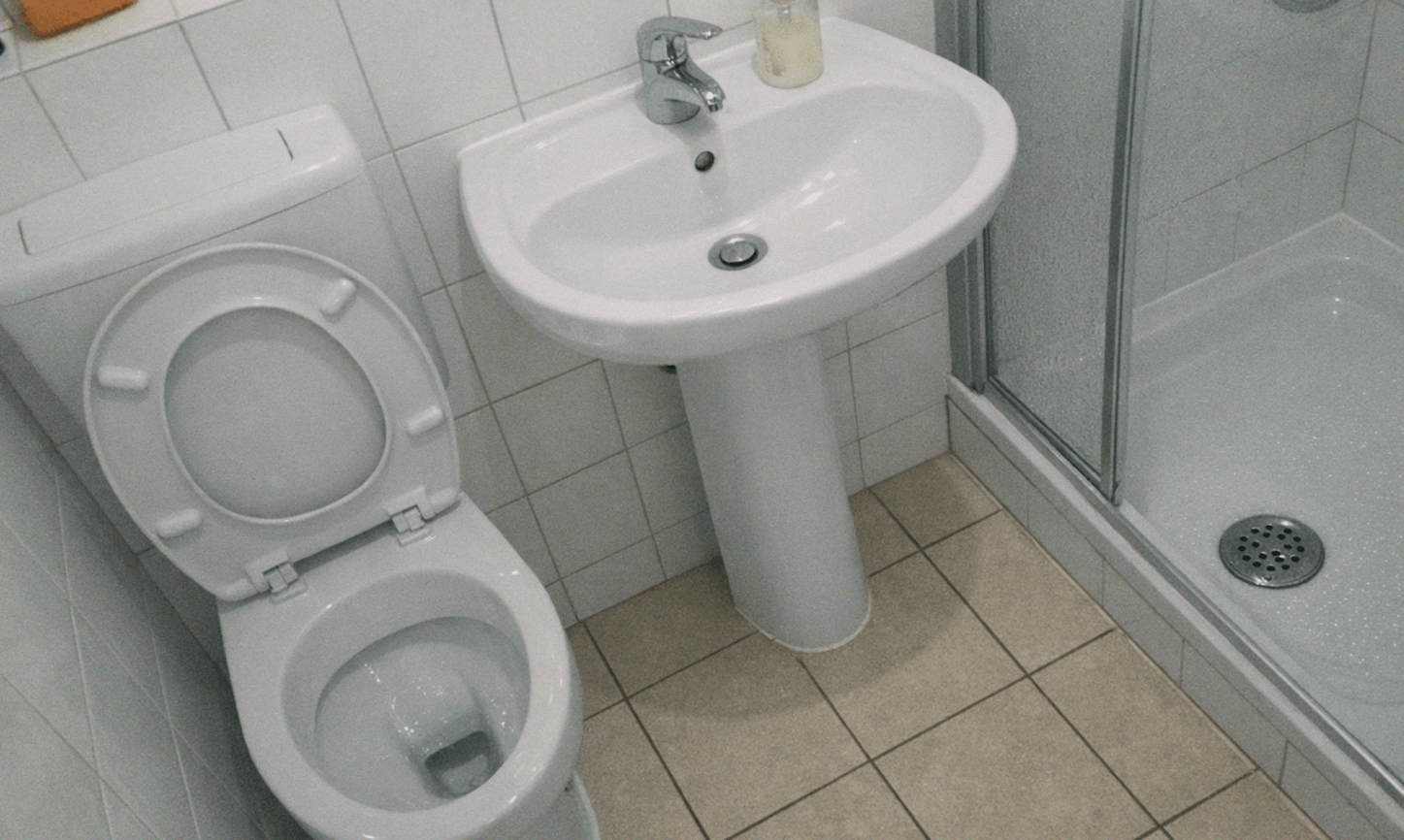 Professionelle Sanierungsarbeiten